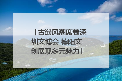 古蜀风潮席卷深圳文博会 德阳文创展现多元魅力