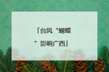 台风“蝴蝶”影响广西