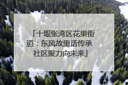 十堰张湾区花果街道：东风故里话传承 社区聚力向未来