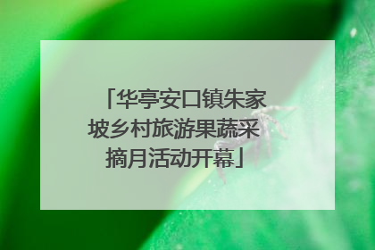 华亭安口镇朱家坡乡村旅游果蔬采摘月活动开幕
