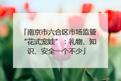 南京市六合区市场监管“花式宠娃”：礼物、知识、安全一个不少