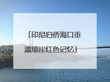 印尼归侨海口重温琼崖红色记忆