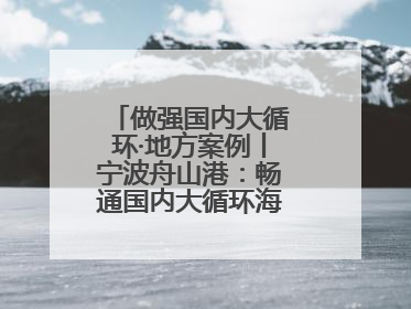 做强国内大循环·地方案例丨宁波舟山港：畅通国内大循环海铁联运走天下