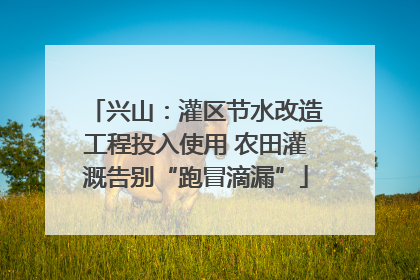 兴山：灌区节水改造工程投入使用 农田灌溉告别“跑冒滴漏”