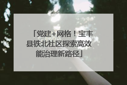 党建+网格！宝丰县铁北社区探索高效能治理新路径