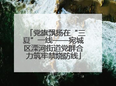 党旗飘扬在“三夏”一线——宛城区溧河街道党群合力筑牢禁烧防线