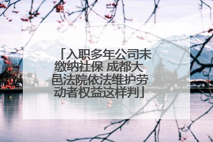 入职多年公司未缴纳社保 成都大邑法院依法维护劳动者权益这样判