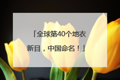 全球第40个地衣新目，中国命名！