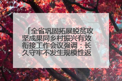 全省巩固拓展脱贫攻坚成果同乡村振兴有效衔接工作会议强调：长久守牢不发生规模性返贫致贫底线 王宁出席并讲话 王予波主持
