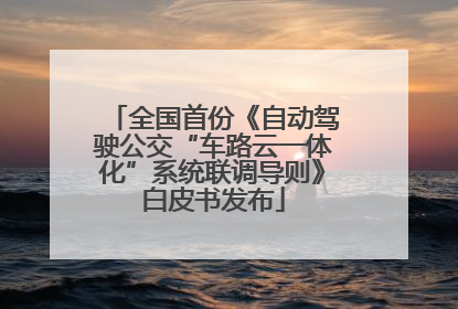 全国首份《自动驾驶公交“车路云一体化”系统联调导则》白皮书发布
