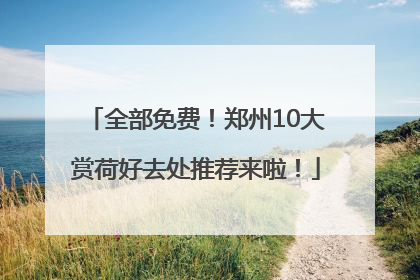 全部免费！郑州10大赏荷好去处推荐来啦！