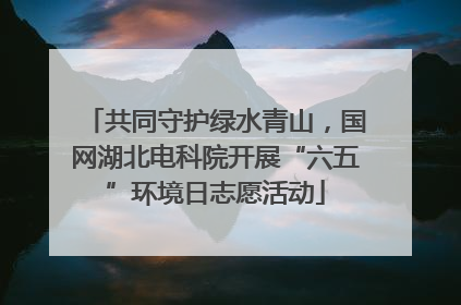 共同守护绿水青山，国网湖北电科院开展“六五”环境日志愿活动