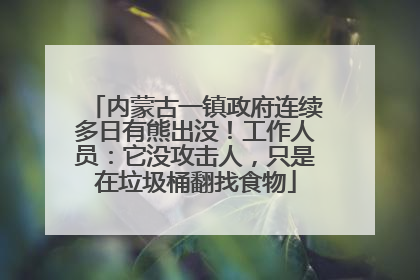 内蒙古一镇政府连续多日有熊出没！工作人员：它没攻击人，只是在垃圾桶翻找食物
