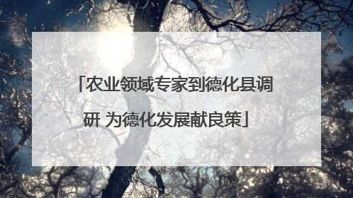 农业领域专家到德化县调研 为德化发展献良策