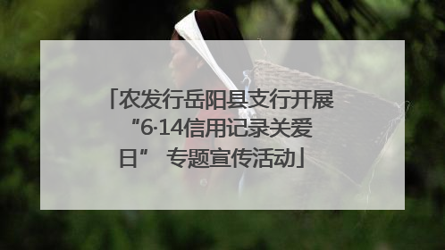 农发行岳阳县支行开展“6·14信用记录关爱日” 专题宣传活动