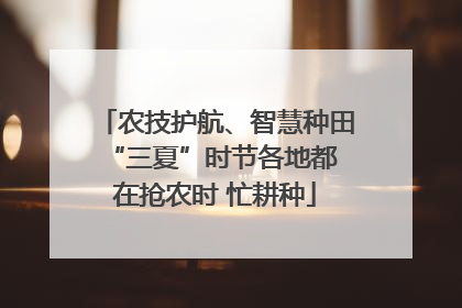 农技护航、智慧种田 “三夏”时节各地都在抢农时 忙耕种