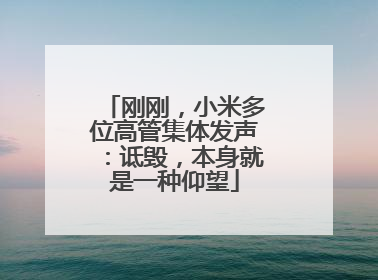 刚刚，小米多位高管集体发声：诋毁，本身就是一种仰望