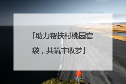 助力帮扶村桃园套袋，共筑丰收梦
