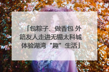 包粽子、做香包 外籍友人走进无锡太科城体验湖湾“趣”生活