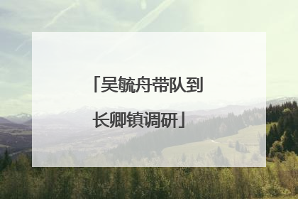 吴毓舟带队到长卿镇调研
