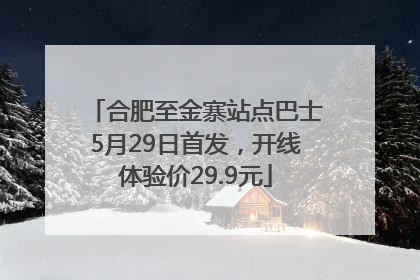 合肥至金寨站点巴士5月29日首发，开线体验价29.9元