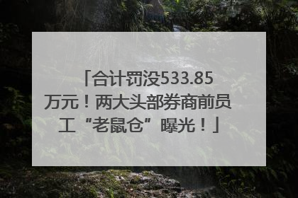合计罚没533.85万元！两大头部券商前员工“老鼠仓”曝光！