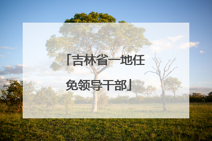吉林省一地任免领导干部