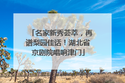 名家新秀荟萃，再谱梨园佳话！湖北省京剧院唱响津门