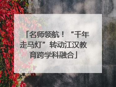 名师领航！“千年走马灯”转动江汉教育跨学科融合
