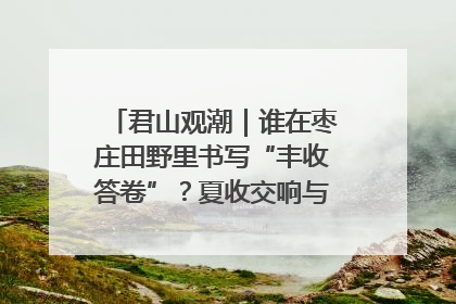 君山观潮｜谁在枣庄田野里书写“丰收答卷”？夏收交响与特色产业，共绘乡村振兴新图景