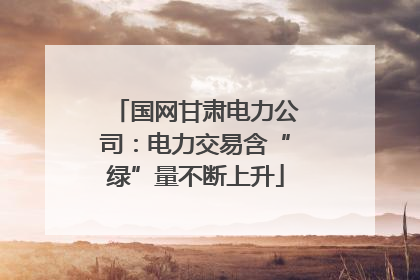 国网甘肃电力公司：电力交易含“绿”量不断上升