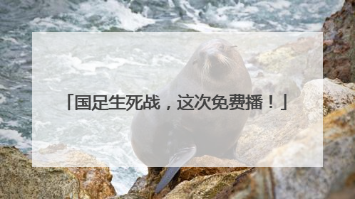 国足生死战，这次免费播！