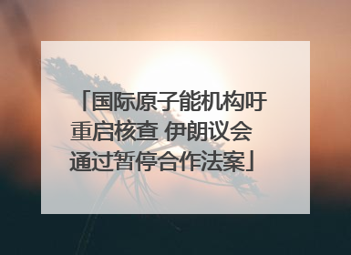 国际原子能机构吁重启核查 伊朗议会通过暂停合作法案