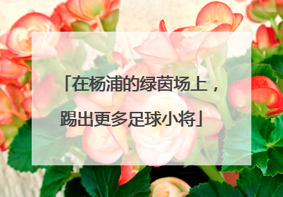 在杨浦的绿茵场上，踢出更多足球小将
