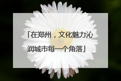 在郑州，文化魅力沁润城市每一个角落