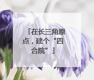 在长三角原点，建个“四合院”
