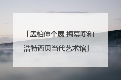 孟柏伸个展 揭幕呼和浩特西贝当代艺术馆