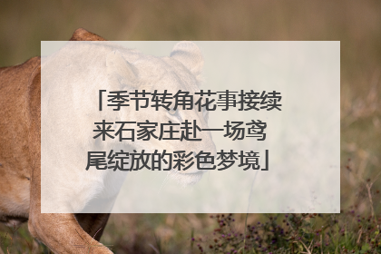季节转角花事接续 来石家庄赴一场鸢尾绽放的彩色梦境
