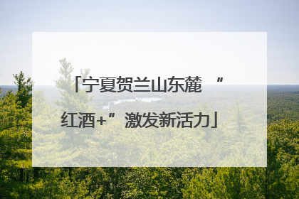 宁夏贺兰山东麓 “红酒+”激发新活力