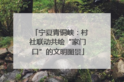 宁夏青铜峡：村社联动共绘“家门口”的文明图景