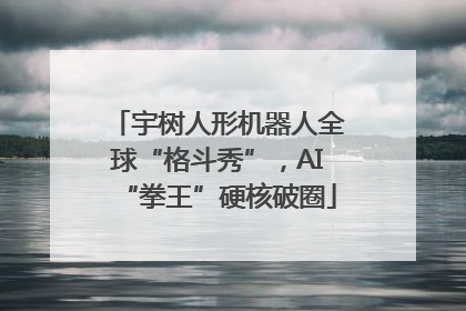 宇树人形机器人全球“格斗秀”，AI“拳王”硬核破圈