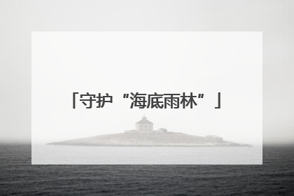 守护“海底雨林”