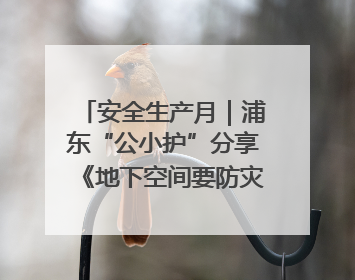 安全生产月｜浦东“公小护”分享《地下空间要防灾，守护平安有我在》安全谣