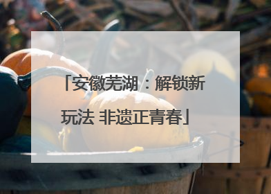 安徽芜湖：解锁新玩法 非遗正青春