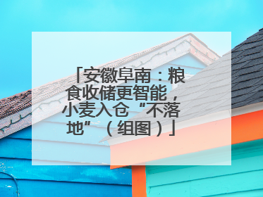 安徽阜南：粮食收储更智能，小麦入仓“不落地”（组图）