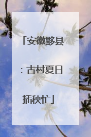 安徽黟县：古村夏日插秧忙