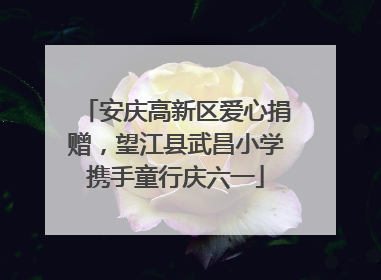 安庆高新区爱心捐赠，望江县武昌小学携手童行庆六一