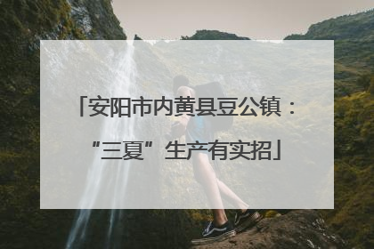 安阳市内黄县豆公镇：“三夏”生产有实招