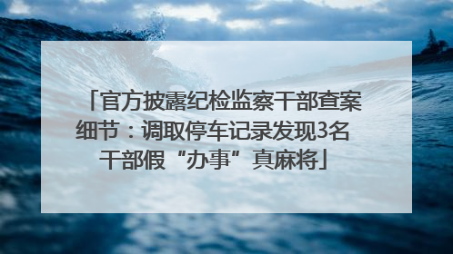 官方披露纪检监察干部查案细节：调取停车记录发现3名干部假“办事”真麻将