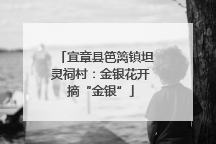 宜章县笆篱镇坦灵祠村：金银花开摘“金银”
